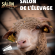 Sudalpes au Salon de l’Élevage de Manosque les 28 et 29 mars 2026